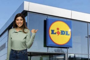 Tra le varie catene di distribuzione, LIDL si distingue per le sue offerte competitive