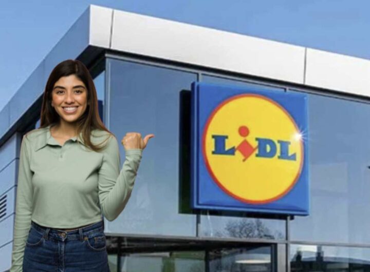 Tra le varie catene di distribuzione, LIDL si distingue per le sue offerte competitive