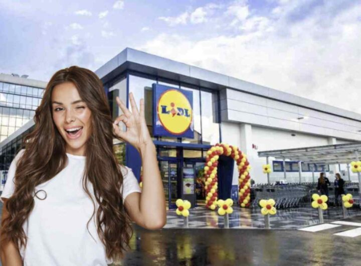 Negli ultimi anni, Lidl ha saputo conquistare il cuore di molti italiani