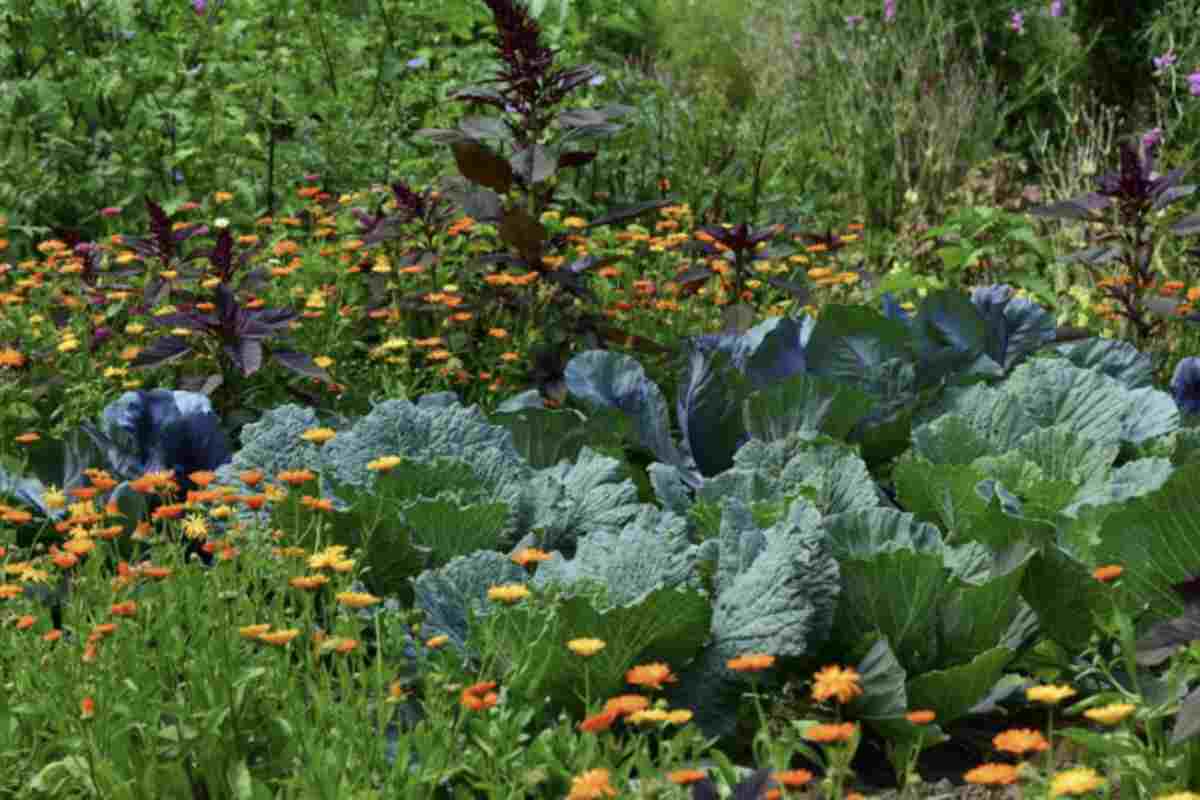 Uno dei metodi più semplici per utilizzare le ceneri nel giardino è spargerle